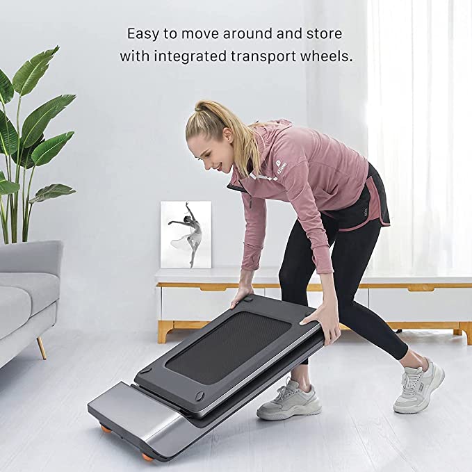 WalkingPad P1 Treadmill Folded Up