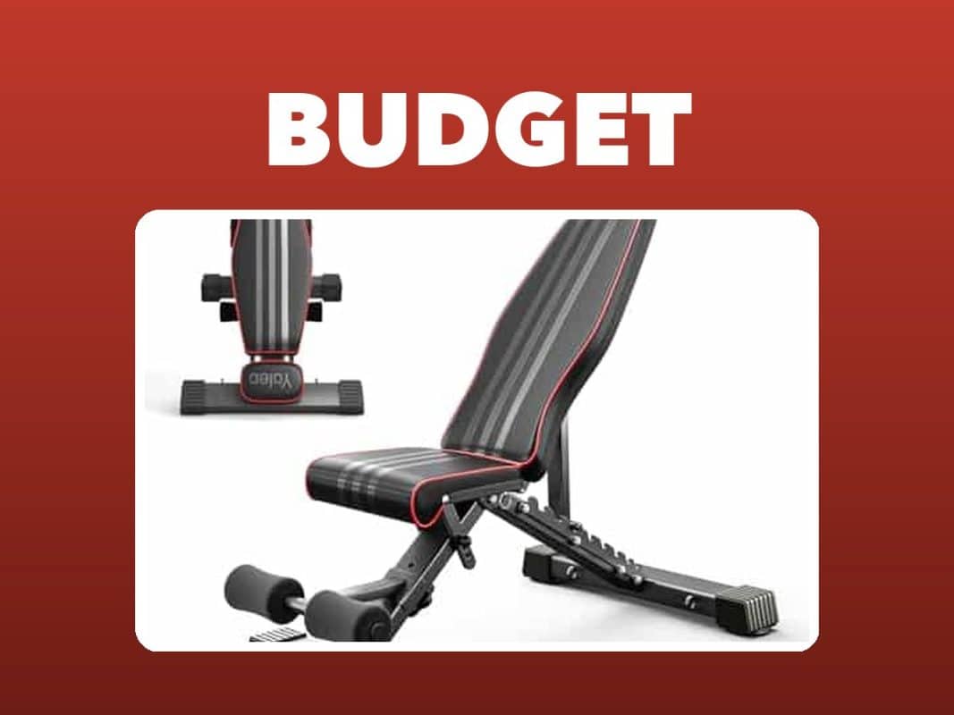 Best Budget Weight Bench – GymFreakz buyers guide