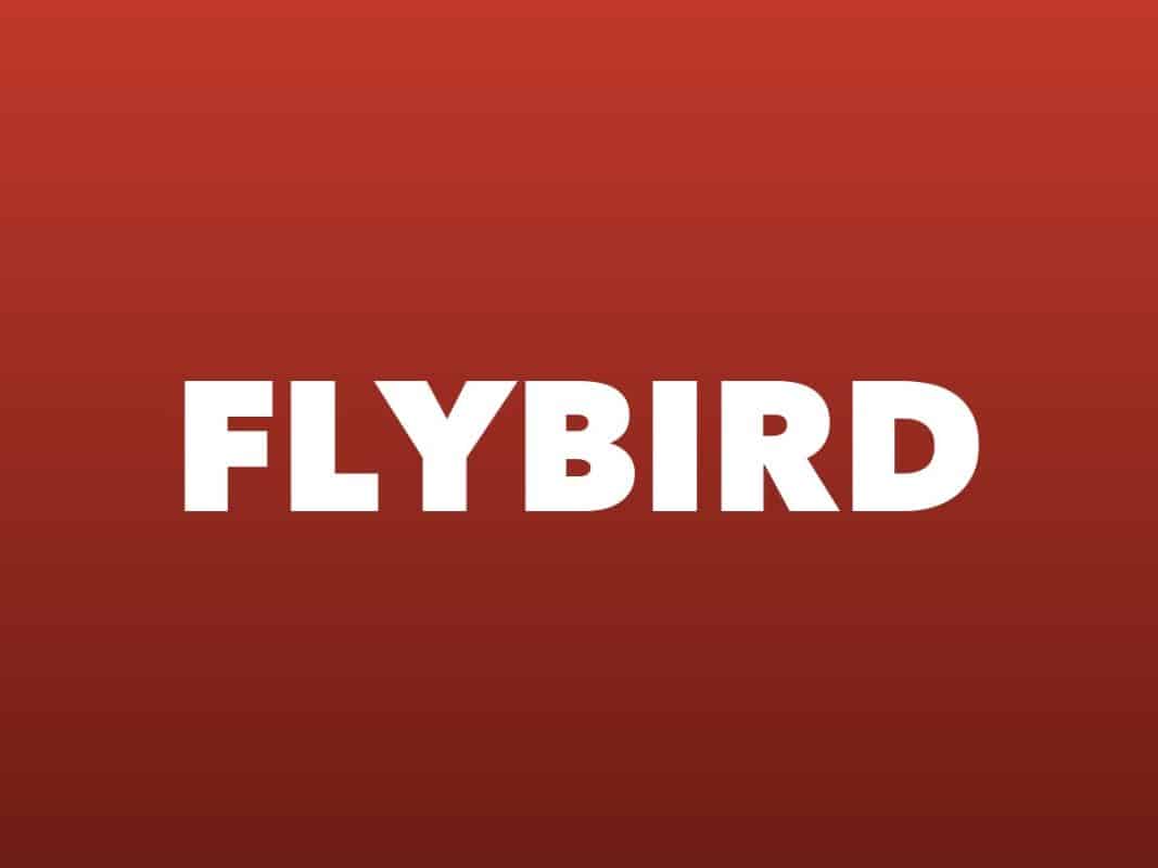 Best Flybird Weight Bench – GymFreakz buyers guide