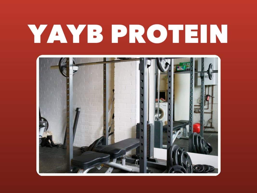 YAYB Protein ‘Bench Monster’ Bench Press Sling Review – GymFreakz guide