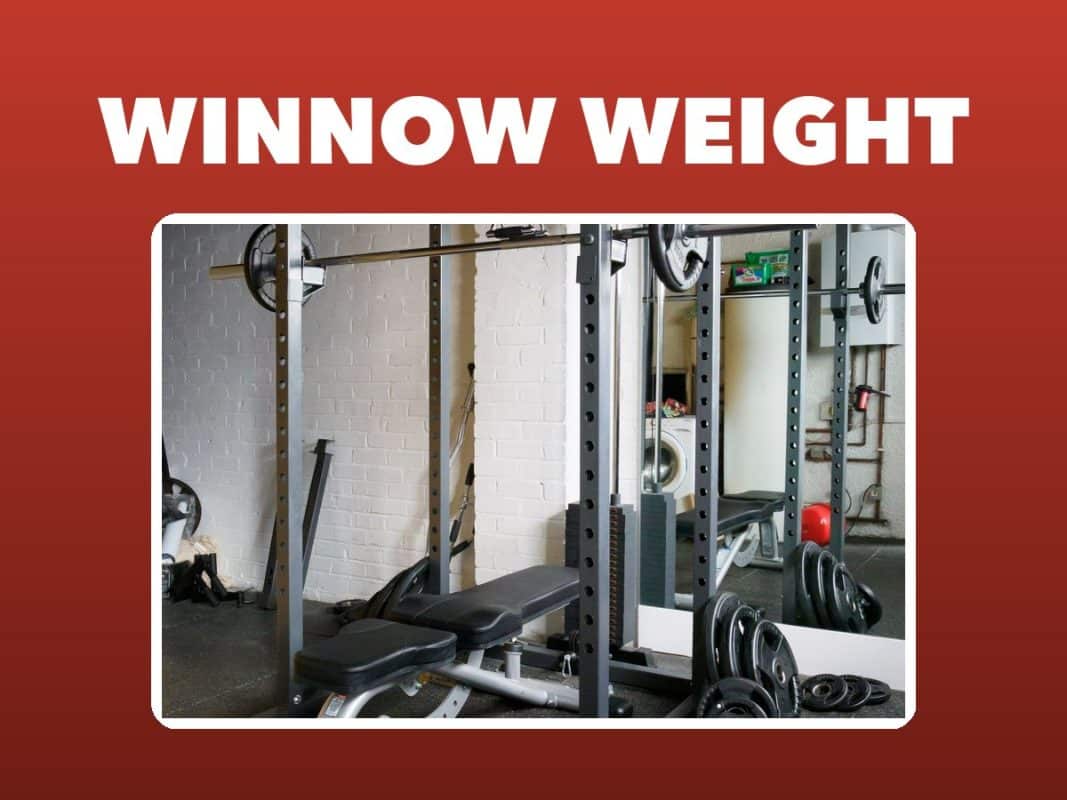 WINNOW Adjustable Weight Bench Foldable Home Ex… Review – GymFreakz guide
